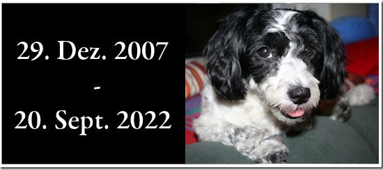 Adieu Susi