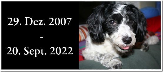 Adieu Susi